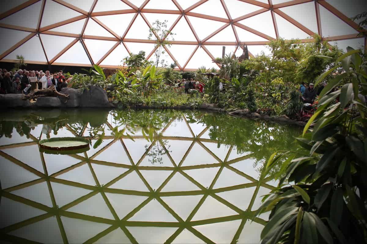 Koepel met houten frame met water en planten