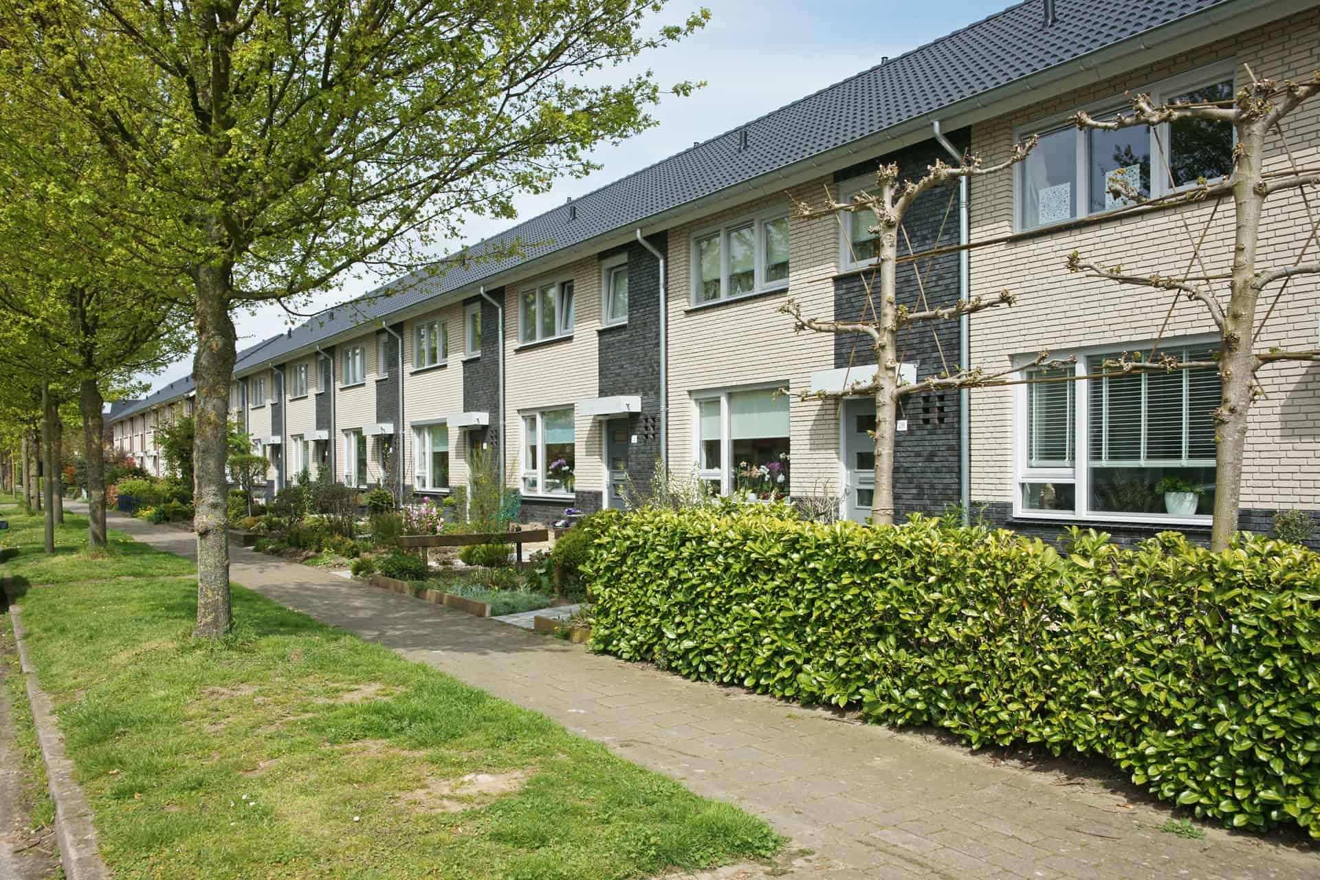 Wit met zwarte rijtjeshuizen met haag in tuin