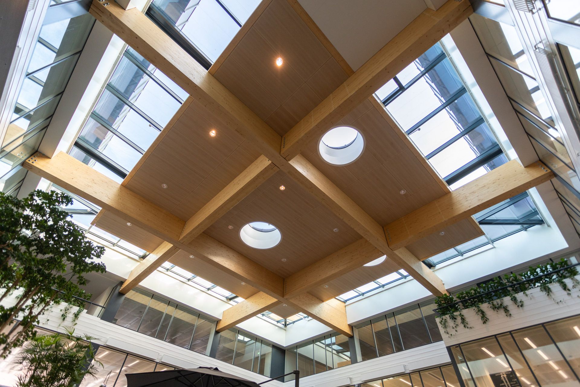 Het dak van een gebouw van boven met middenin hout met rondjes van glas erin en glas eromheen