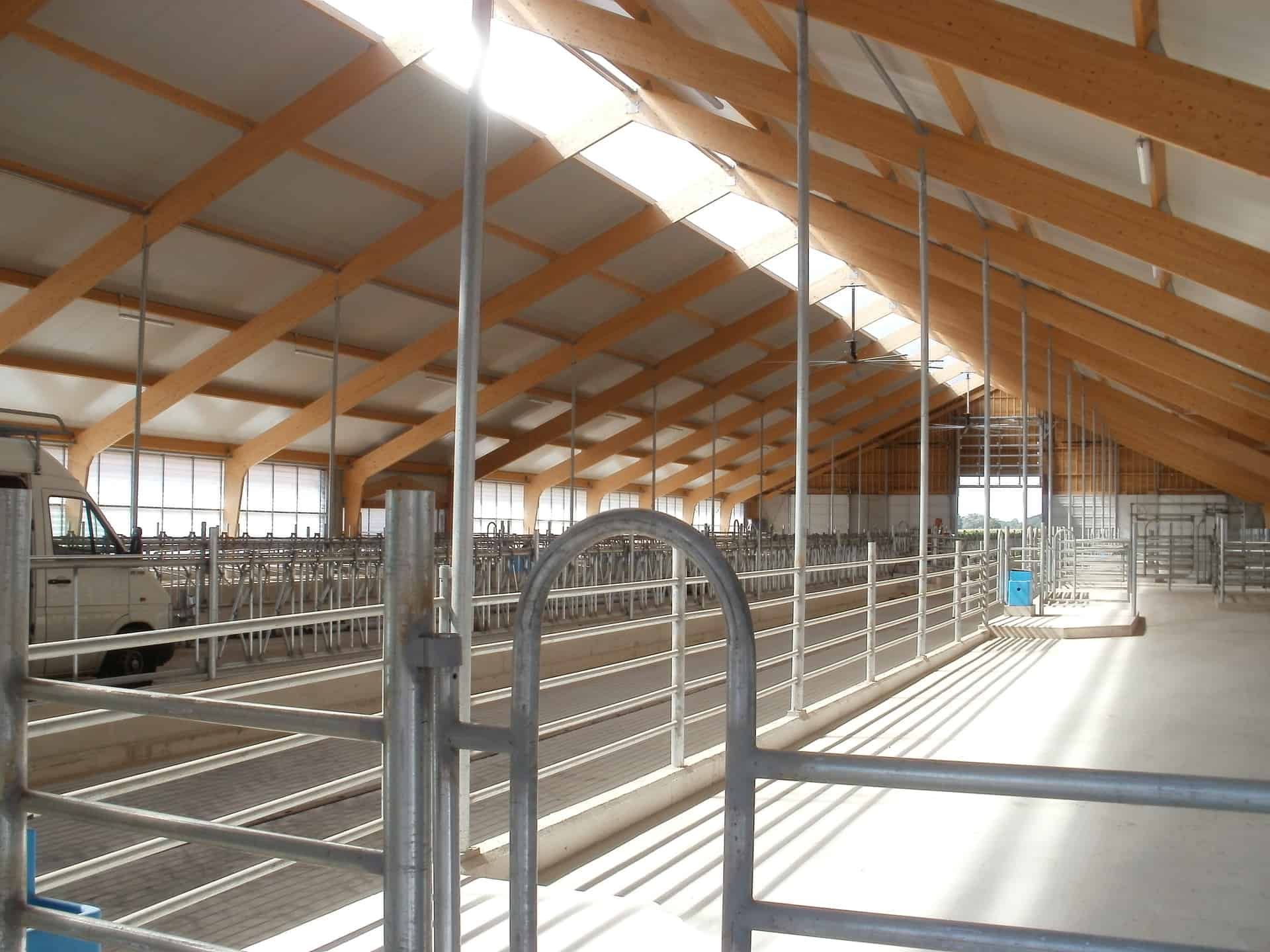 Houten balken aan het plafond in een koeienstal