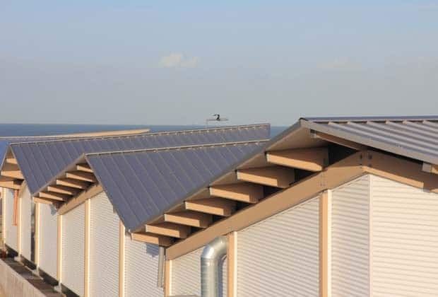 Het dak van de strandopgang in hoek van holland