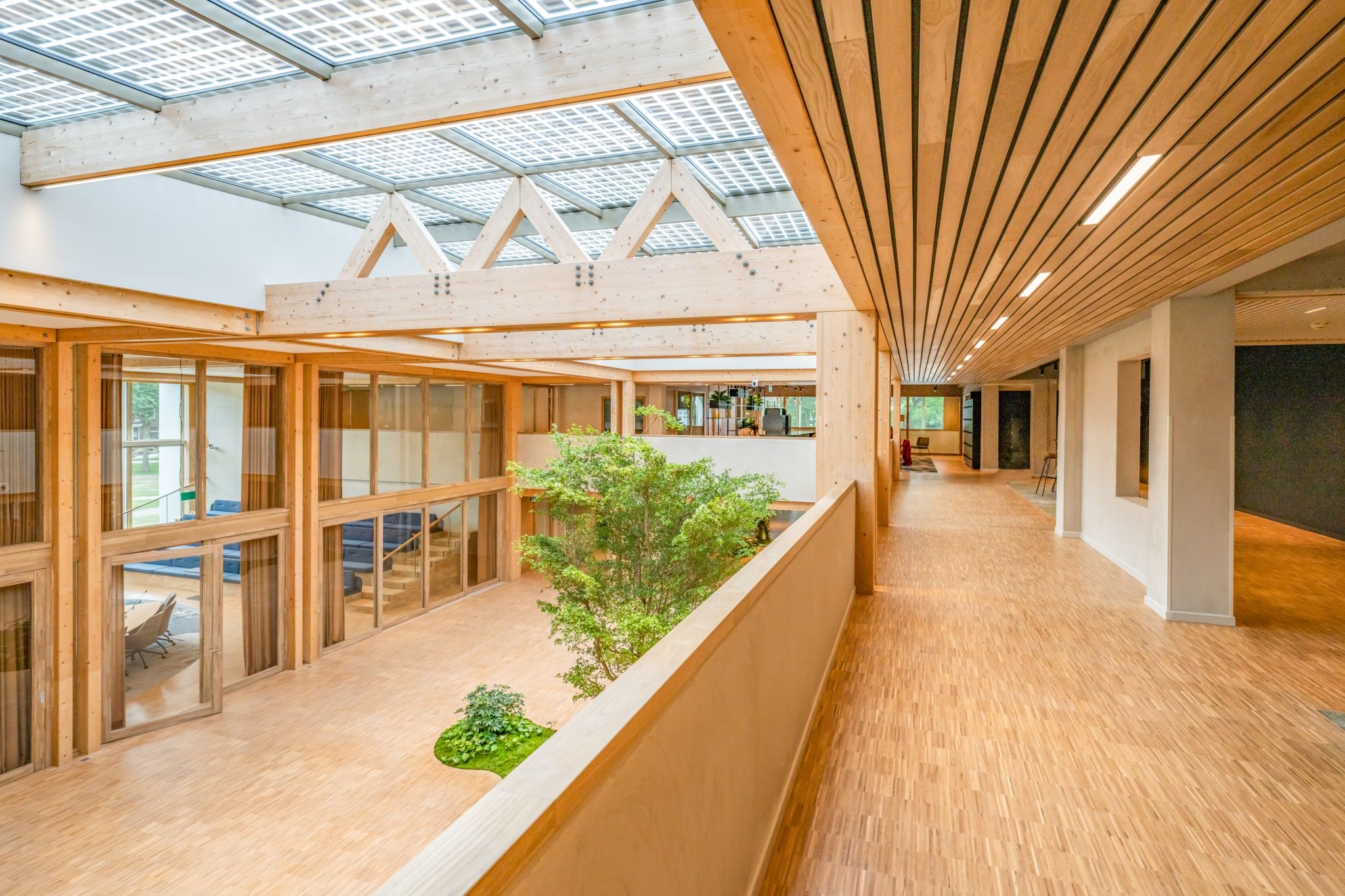 Houten draagconstructie gemeentehuis Twello