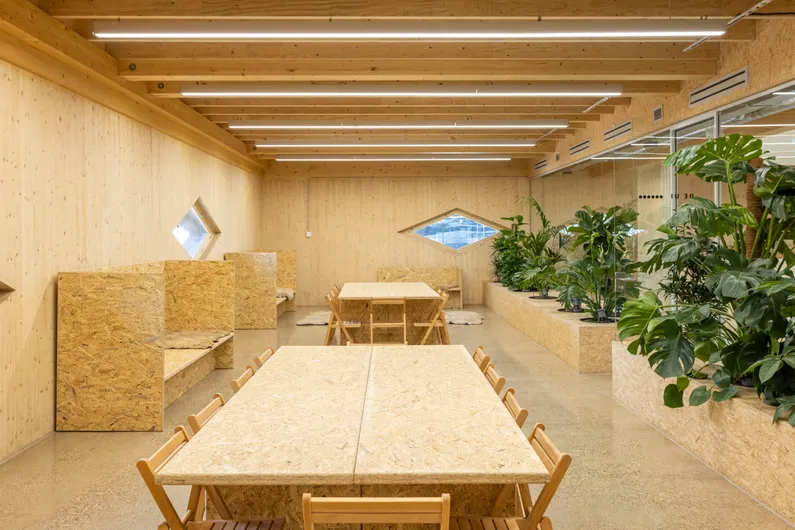 Ruimte van hout met houten meubels en planten in houten plantenbakkken