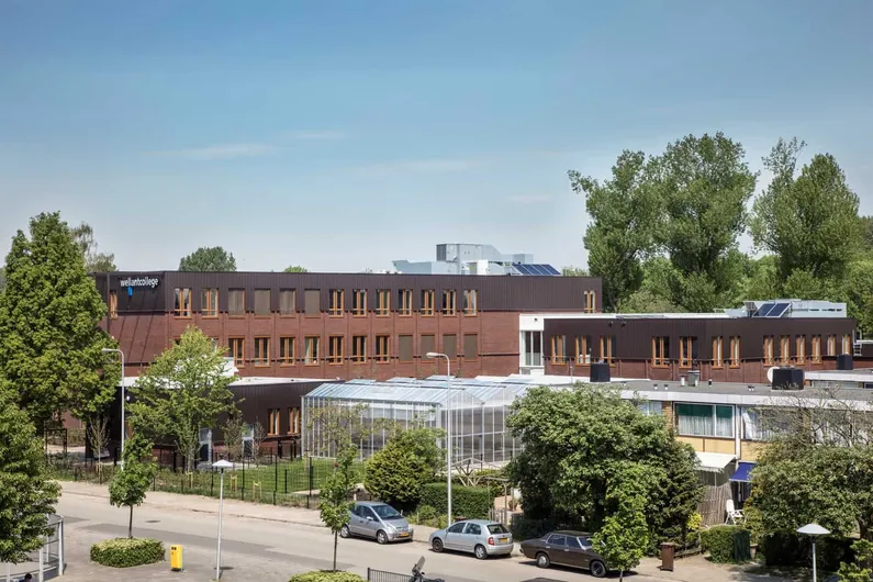 Schoolgebouw met een straat en bomen