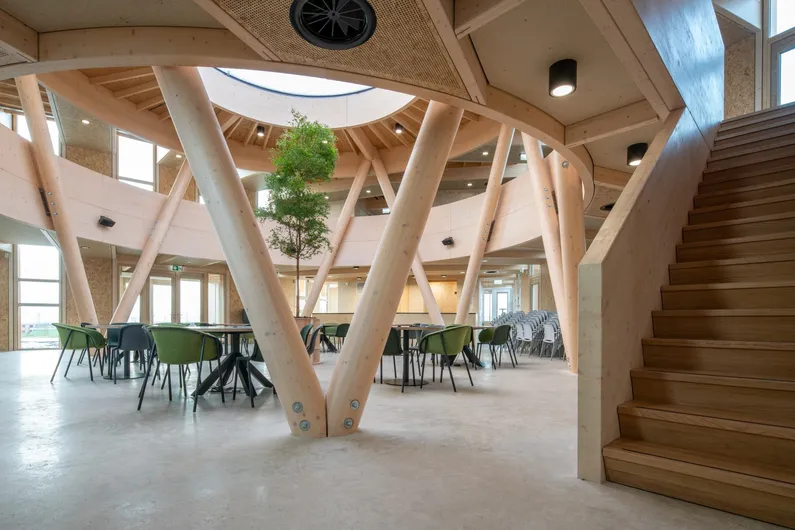 Gebouw van binnen met veel hout, een trap, een rond gat met glas in het plafond en stoelen en tafels met een boom om het midden